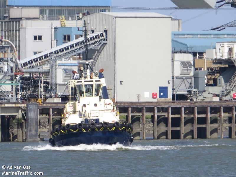 SVITZER MADELEINE FOTO