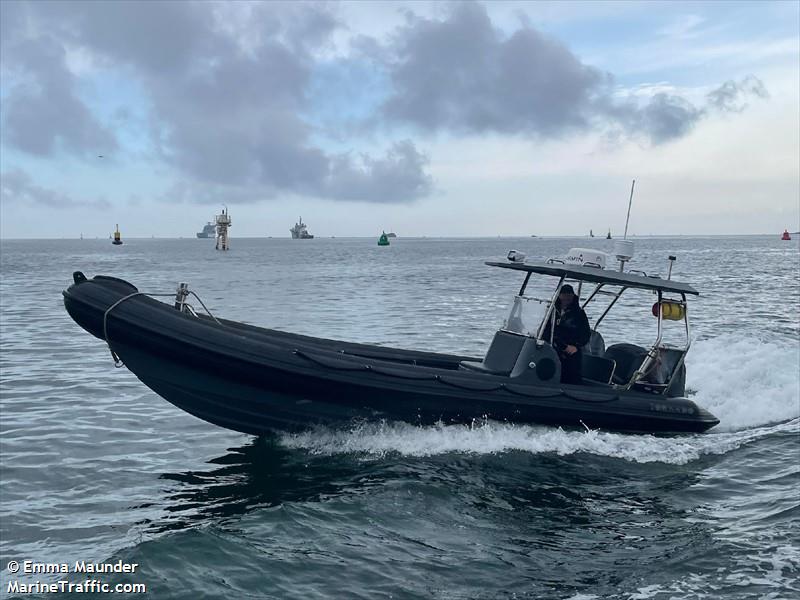 STORM PETREL FOTO