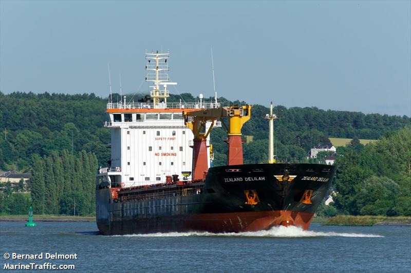 BULKER BEE 11 FOTO