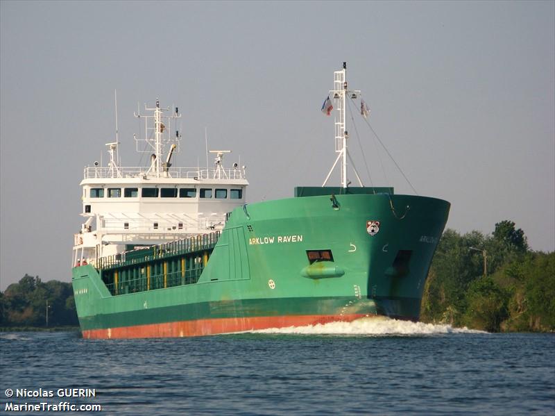 ARKLOW RAVEN FOTO