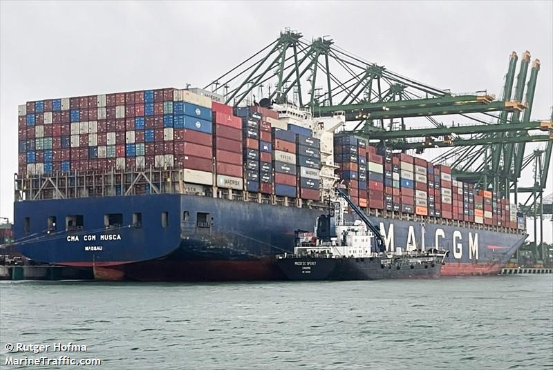 CMA CGM MUSCA FOTO