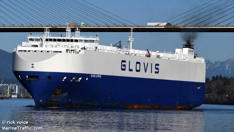 GLOVIS CLIPPER FOTO