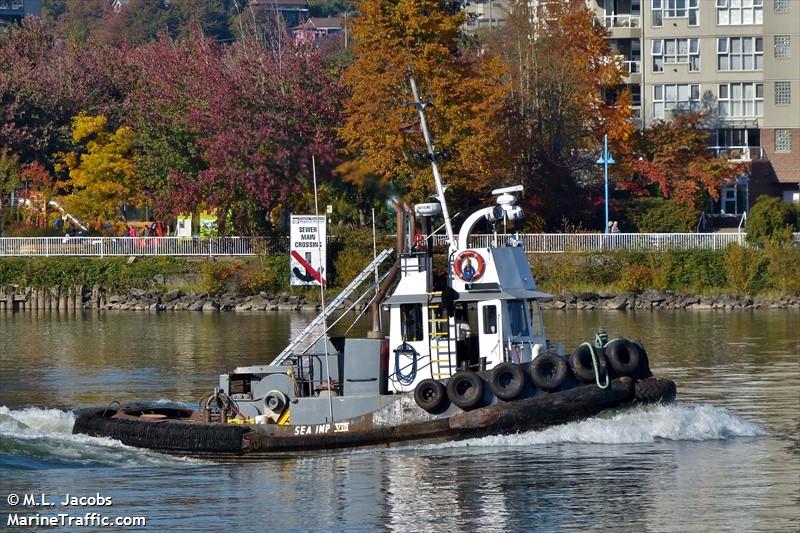 MV SEA IMP VIII FOTO