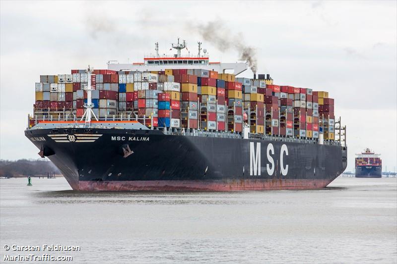 MSC KALINA FOTO