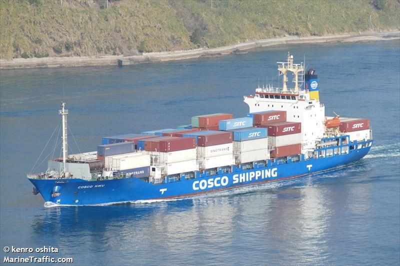 COSCO KIKU FOTO