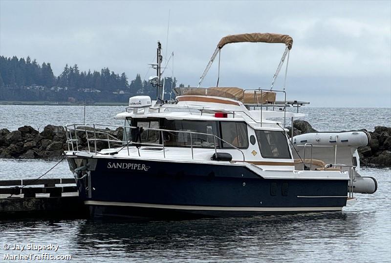 SANDPIPER FOTO