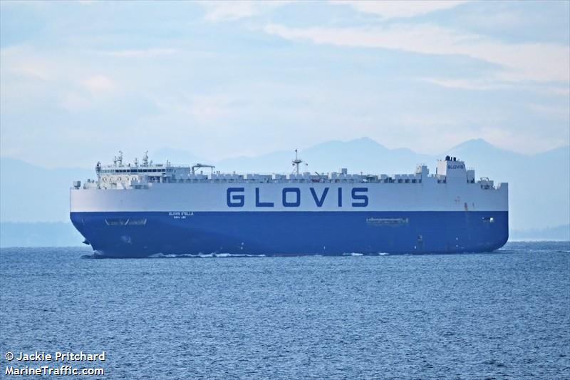 GLOVIS STELLA FOTO