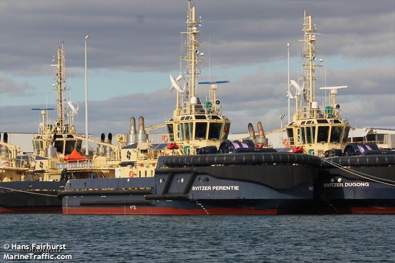 SVITZER PERENTIE FOTO