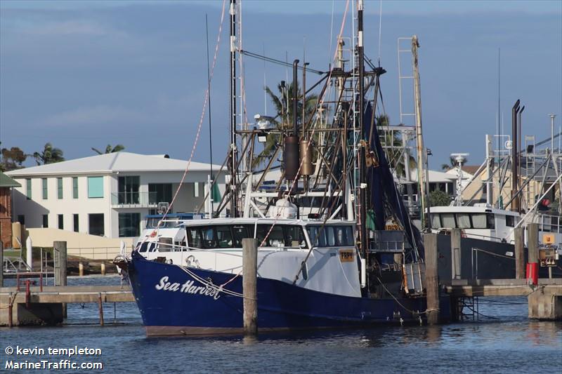 SEA HARVEST FOTO