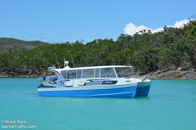 WHITSUNDAY BULLET FOTO