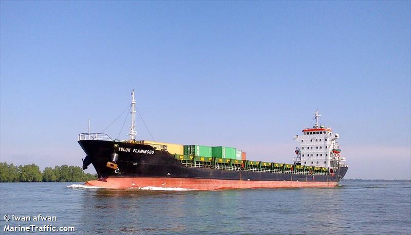 MV TELUK FLAMINGGO FOTO