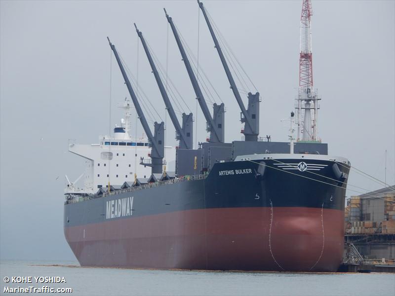 ARTEMIS BULKER FOTO