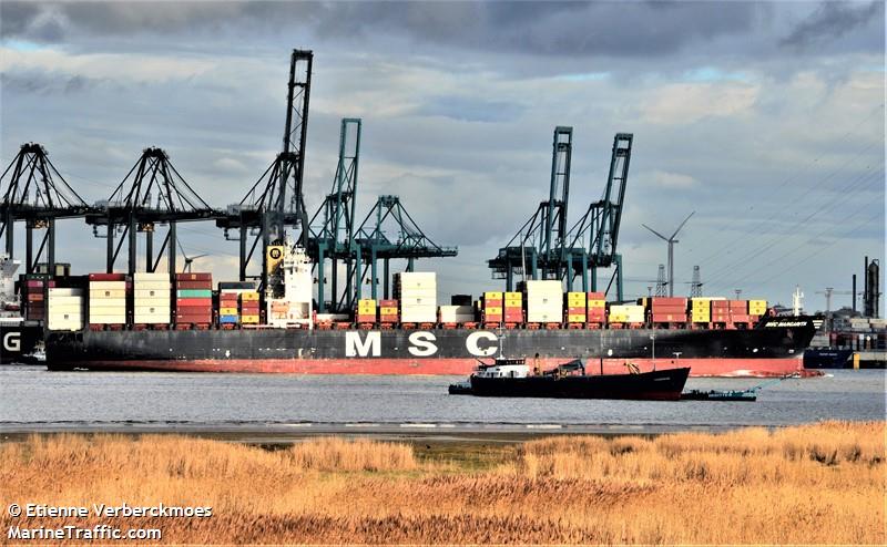 MSC MARGARITA FOTO