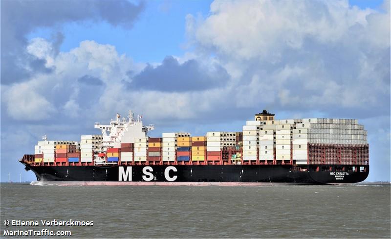 MSC CARLOTTA FOTO