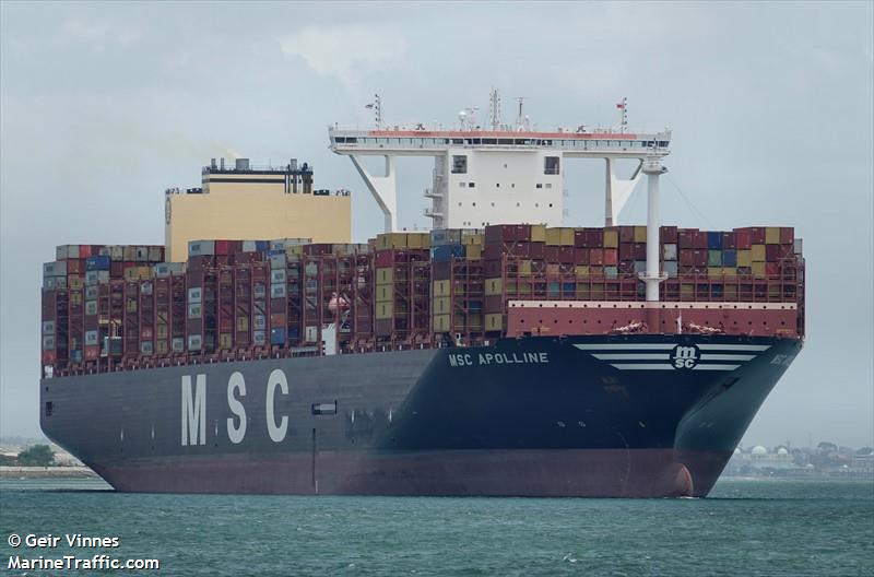 MSC APOLLINE FOTO