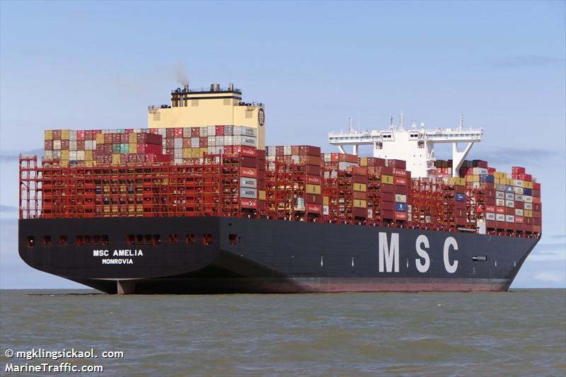 MSC AMELIA FOTO