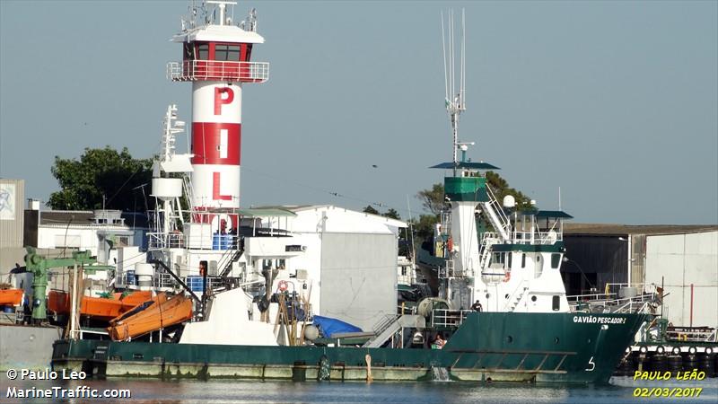 GAVIAO PESCADOR I FOTO